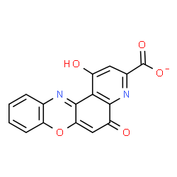 ChemSpider 2D Image | 1-Hydroxy-5-oxo-5H-pyrido[3,2-a]phenoxazine-3-carboxylate | C16H7N2O5