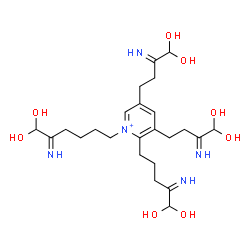 ChemSpider 2D Image | 3,5-Bis(4,4-dihydroxy-3-iminobutyl)-1-(6,6-dihydroxy-5-iminohexyl)-2-(5,5-dihydroxy-4-iminopentyl)pyridinium | C24H40N5O8