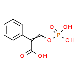 ChemSpider 2D Image | (2Z)-2-Phenyl-3-(phosphonooxy)acrylic acid | C9H9O6P