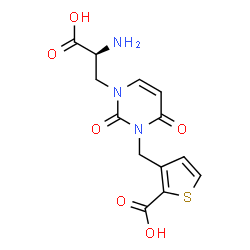 ChemSpider 2D Image | 3-({3-[(2S)-2-Amino-2-carboxyethyl]-2,6-dioxo-3,6-dihydro-1(2H)-pyrimidinyl}methyl)-2-thiophenecarboxylic acid | C13H13N3O6S