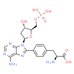 ChemSpider 2D Image | (2S)-2-Amino-3-[4-(6-amino-9-{(2R,4S,5R)-4-hydroxy-5-[(phosphonooxy)methyl]tetrahydro-2-furanyl}-9H-purin-8-yl)phenyl]propanoic acid | C19H23N6O8P