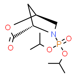 ChemSpider 2D Image | Diisopropyl [(1S,4S)-3-oxo-2-oxa-5-azabicyclo[2.2.1]hept-5-yl]phosphonate | C11H20NO5P