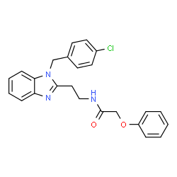 ChemSpider 2D Image | N-{2-[1-(4-Chlorobenzyl)-1H-benzimidazol-2-yl]ethyl}-2-phenoxyacetamide | C24H22ClN3O2
