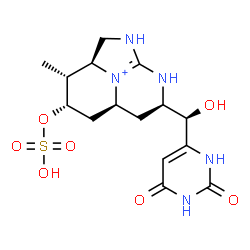 ChemSpider 2D Image | (2aS,3R,4S,5aS,7R)-7-[(R)-(2,6-Dioxo-1,2,3,6-tetrahydro-4-pyrimidinyl)(hydroxy)methyl]-3-methyl-4-(sulfooxy)-1,2,2a,3,4,5,5a,6,7,8-decahydro-1,8-diaza-8b-azoniaacenaphthylene | C15H22N5O7S