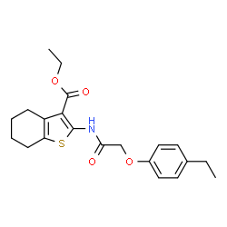 ChemSpider 2D Image | Ethyl 2-{[(4-ethylphenoxy)acetyl]amino}-4,5,6,7-tetrahydro-1-benzothiophene-3-carboxylate | C21H25NO4S