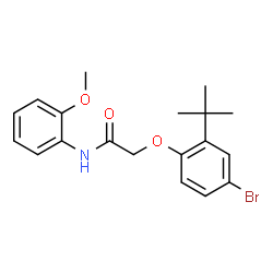 ChemSpider 2D Image | 2-(4-bromo-2-tert-butylphenoxy)-N-(2-methoxyphenyl)acetamide | C19H22BrNO3