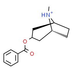 ChemSpider 2D Image | (1R,5S)-3-(Benzoyloxy)-8-methyl-8-azoniabicyclo[3.2.1]octane | C15H20NO2