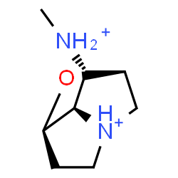 ChemSpider 2D Image | (1S,3R,7R,8S)-8-(Methylammonio)-2-oxa-6-azoniatricyclo[4.2.1.0~3,7~]nonane | C8H16N2O