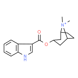 ChemSpider 2D Image | 3-[(1H-Indol-3-ylcarbonyl)oxy]-8,8-dimethyl-8-azoniabicyclo[3.2.1]octane | C18H23N2O2