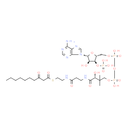 ChemSpider 2D Image | 3-Oxodecanoyl-CoA | C31H52N7O18P3S
