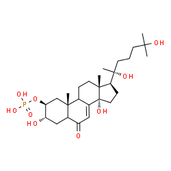 ChemSpider 2D Image | (2beta,3alpha,9xi,20R)-3,14,20,25-Tetrahydroxy-6-oxocholest-7-en-2-yl dihydrogen phosphate | C27H45O9P