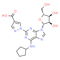 ChemSpider 2D Image | 2-(4-Carboxy-1H-pyrazol-1-yl)-N-cyclopentyladenosine | C19H23N7O6