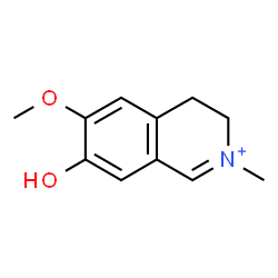 ChemSpider 2D Image | 7-Hydroxy-6-methoxy-2-methyl-3,4-dihydroisoquinolinium | C11H14NO2