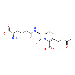 ChemSpider 2D Image | (6R,7R)-3-(Acetoxymethyl)-7-{[(5R)-5-ammonio-5-carboxylatopentanoyl]amino}-8-oxo-5-thia-1-azabicyclo[4.2.0]oct-2-ene-2-carboxylate | C16H20N3O8S