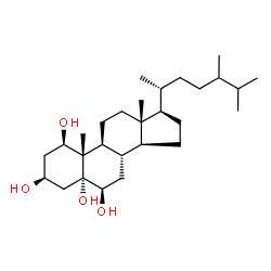 ChemSpider 2D Image | (1beta,3beta,5alpha,6beta,24xi)-Ergostane-1,3,5,6-tetrol | C28H50O4