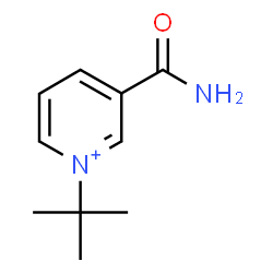 ChemSpider 2D Image | 3-Carbamoyl-1-(2-methyl-2-propanyl)pyridinium | C10H15N2O