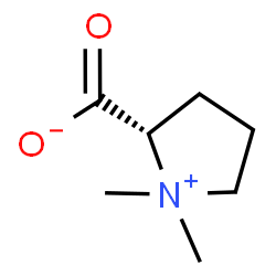 ChemSpider 2D Image | Stachydrine | C7H13NO2