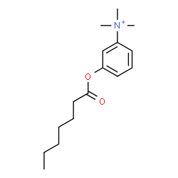 ChemSpider 2D Image | 3-(Heptanoyloxy)-N,N,N-trimethylanilinium | C16H26NO2