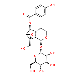 ChemSpider 2D Image | (1aS,1bS,2S,5aR,6S,6aS)-2-(beta-D-Glucopyranosyloxy)-1a-(hydroxymethyl)octahydrooxireno[4,5]cyclopenta[1,2-c]pyran-6-yl 4-hydroxybenzoate | C22H28O12