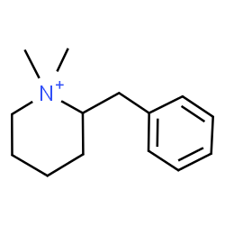 ChemSpider 2D Image | 2-Benzyl-1,1-dimethylpiperidinium | C14H22N