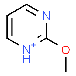 ChemSpider 2D Image | 2-Methoxypyrimidin-1-ium | C5H7N2O