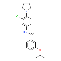 ChemSpider 2D Image | N-[3-Chloro-4-(1-pyrrolidinyl)phenyl]-3-isopropoxybenzamide | C20H23ClN2O2