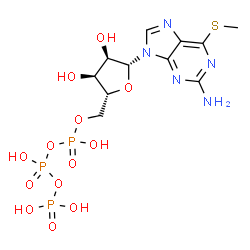 ChemSpider 2D Image | 9-[5-O-(Hydroxy{[hydroxy(phosphonooxy)phosphoryl]oxy}phosphoryl)-beta-D-ribofuranosyl]-6-(methylsulfanyl)-9H-purin-2-amine | C11H18N5O13P3S
