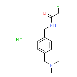 ChemSpider 2D Image | 2-Chloro-N-{4-[(dimethylamino)methyl]benzyl}acetamide hydrochloride (1:1) | C12H18Cl2N2O