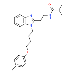 ChemSpider 2D Image | 2-Methyl-N-(2-{1-[4-(4-methylphenoxy)butyl]-1H-benzimidazol-2-yl}ethyl)propanamide | C24H31N3O2