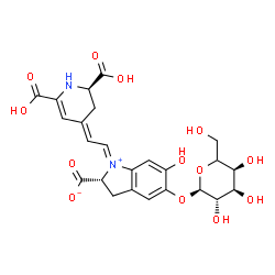 ChemSpider 2D Image | (1E,2R)-1-{(2E)-2-[(2R)-2,6-Dicarboxy-2,3-dihydro-4(1H)-pyridinylidene]ethylidene}-5-[(5xi)-alpha-D-arabino-hexopyranosyloxy]-6-hydroxy-2,3-dihydro-1H-indolium-2-carboxylate | C24H26N2O13