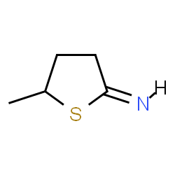 ChemSpider 2D Image | (2E)-5-Methyldihydro-2(3H)-thiophenimine | C5H9NS