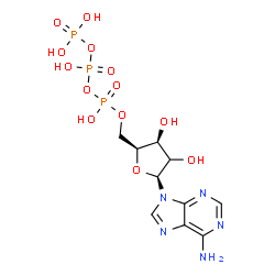 ChemSpider 2D Image | 9-[(2xi)-5-O-(Hydroxy{[hydroxy(phosphonooxy)phosphoryl]oxy}phosphoryl)-beta-L-threo-pentofuranosyl]-9H-purin-6-amine | C10H16N5O13P3