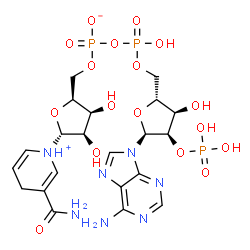 ChemSpider 2D Image | [[(2R,3R,4R,5S)-5-(6-aminopurin-9-yl)-3-hydroxy-4-phosphonooxy-tetrahydrofuran-2-yl]methoxy-hydroxy-phosphoryl] [(2S,3S,4R,5R)-5-(3-carbamoyl-1,4-dihydropyridin-1-ium-1-yl)-3,4-dihydroxy-tetrahydrofuran-2-yl]methyl phosphate | C21H30N7O17P3