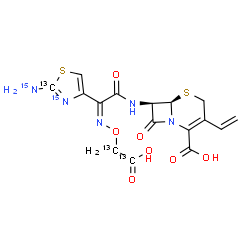 ChemSpider 2D Image | (6R,7R)-7-{[(2Z)-2-[2-(~15~N)Amino(2-~13~C,~15~N)-1,3-thiazol-4-yl]-2-({[(~13~C)carboxy(~13~C)methyl]oxy}imino)acetyl]amino}-8-oxo-3-vinyl-5-thia-1-azabicyclo[4.2.0]oct-2-ene-2-carboxylic acid | C1313C3H15N315N2O7S2