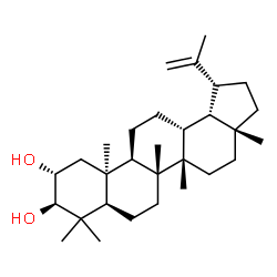 ChemSpider 2D Image | (2alpha,3beta,10alpha,14beta,18beta)-Lup-20(29)-ene-2,3-diol | C30H50O2