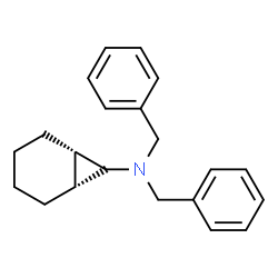 ChemSpider 2D Image | (1R,6S)-N,N-Dibenzylbicyclo[4.1.0]heptan-7-amine | C21H25N