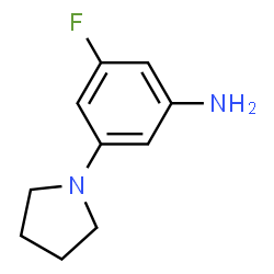 ChemSpider 2D Image | 3-Fluoro-5-(1-pyrrolidinyl)aniline | C10H13FN2