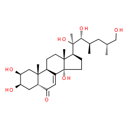 ChemSpider 2D Image | (2beta,3beta,5beta,22R,23R,25R)-2,3,14,20,22,26-Hexahydroxy-23-methylcholest-7-en-6-one | C28H46O7