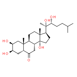 ChemSpider 2D Image | (2beta,3beta,5beta,22R)-2,3,14,20,22-Pentahydroxycholestan-6-one | C27H46O6