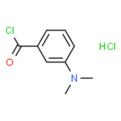 ChemSpider 2D Image | 3-DIMETHYLAMINOBENZOYL CHLORIDE HYDROCHLORIDE | C9H11Cl2NO