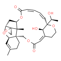 ChemSpider 2D Image | (1'Z,2S,6'R,11'R,13'R,15'S,16'R,19'Z,21'Z,23'R,27'R)-27'-Hydroxy-23'-[(1S)-1-hydroxyethyl]-9',15'-dimethyl-3'H,18'H-spiro[oxirane-2,14'-[4,12,17,24]tetraoxapentacyclo[21.3.1.1~13,16~.0~6,11~.0~6,15~]o
ctacosa[1,9,19,21]tetraene]-3',18'-dione | C29H36O9