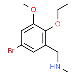 ChemSpider 2D Image | 1-(5-Bromo-2-ethoxy-3-methoxyphenyl)-N-methylmethanamine | C11H16BrNO2