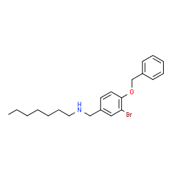 ChemSpider 2D Image | N-[4-(Benzyloxy)-3-bromobenzyl]-1-heptanamine | C21H28BrNO