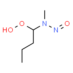 ChemSpider 2D Image | 1-[Methyl(nitroso)amino]butyl hydroperoxide | C5H12N2O3
