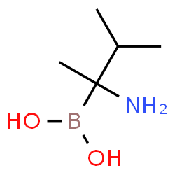 ChemSpider 2D Image | (2-Amino-3-methyl-2-butanyl)boronic acid | C5H14BNO2