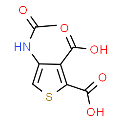 ChemSpider 2D Image | 4-Acetamido-2,3-thiophenedicarboxylic acid | C8H7NO5S
