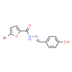 ChemSpider 2D Image | 5-Bromo-N'-[(E)-(4-hydroxyphenyl)methylene]-2-furohydrazide | C12H9BrN2O3