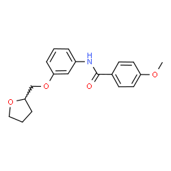 ChemSpider 2D Image | 4-Methoxy-N-[3-(tetrahydro-2-furanylmethoxy)phenyl]benzamide | C19H21NO4