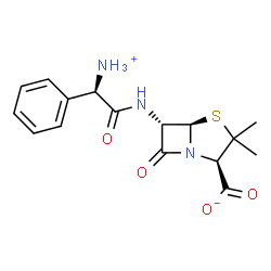ChemSpider 2D Image | (2R,5R,6S)-6-{[(2R)-2-Ammonio-2-phenylacetyl]amino}-3,3-dimethyl-7-oxo-4-thia-1-azabicyclo[3.2.0]heptane-2-carboxylate | C16H19N3O4S