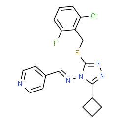 ChemSpider 2D Image | (E)-N-{3-[(2-Chloro-6-fluorobenzyl)sulfanyl]-5-cyclobutyl-4H-1,2,4-triazol-4-yl}-1-(4-pyridinyl)methanimine | C19H17ClFN5S